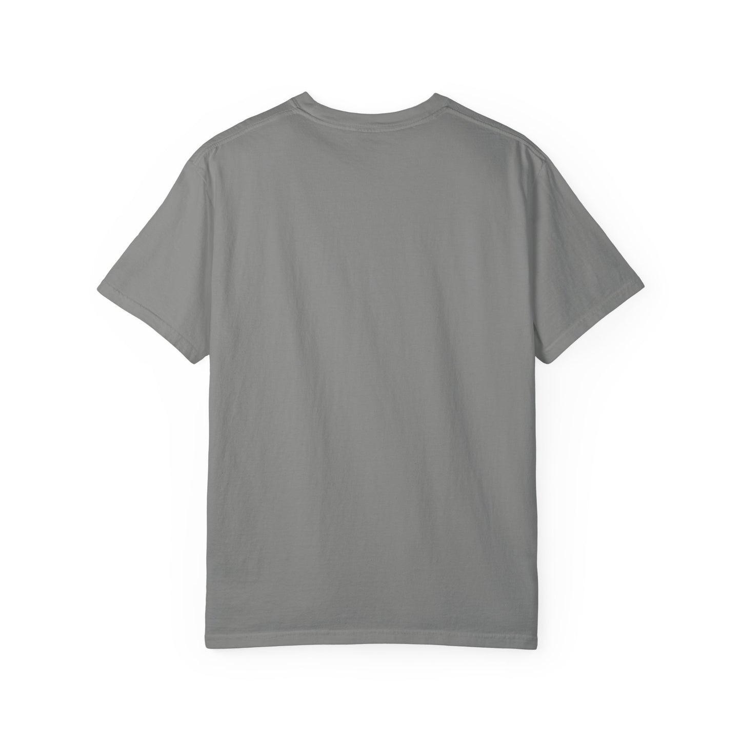 JustMav Crackers Plain Unisex Garment-Dyed T-shirt